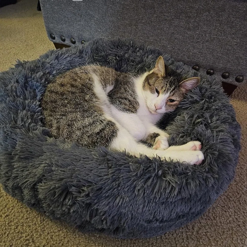 N/A donut plush